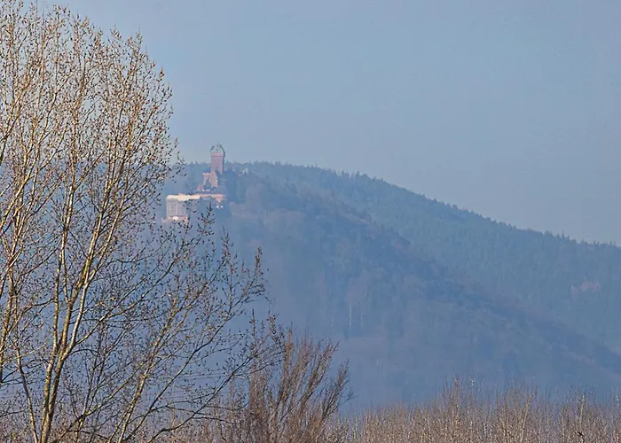 Au Coeur Des Champs Chez Sandrine Et Manu Apartament Hilsenheim